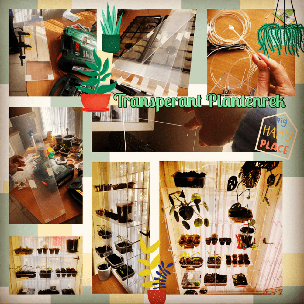 Plantenrek van plexiglas
