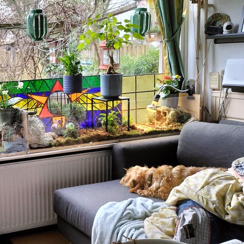 terrarium van Plexiglas