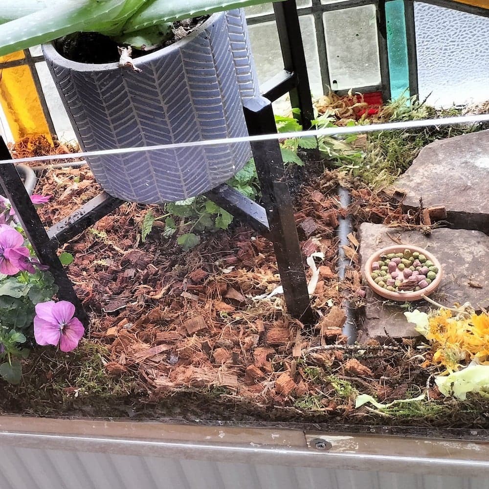 Terrarium van Plexiglas 3
