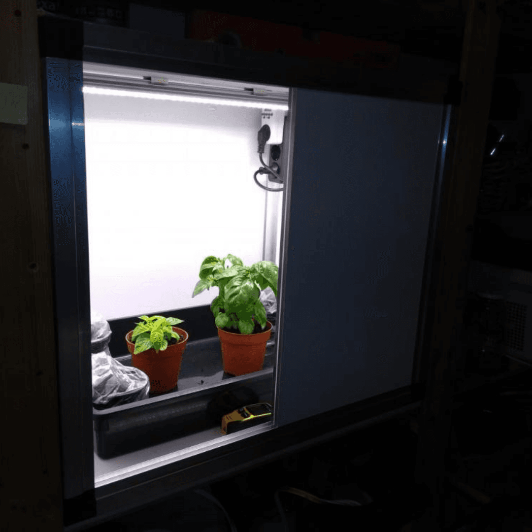 Propagator