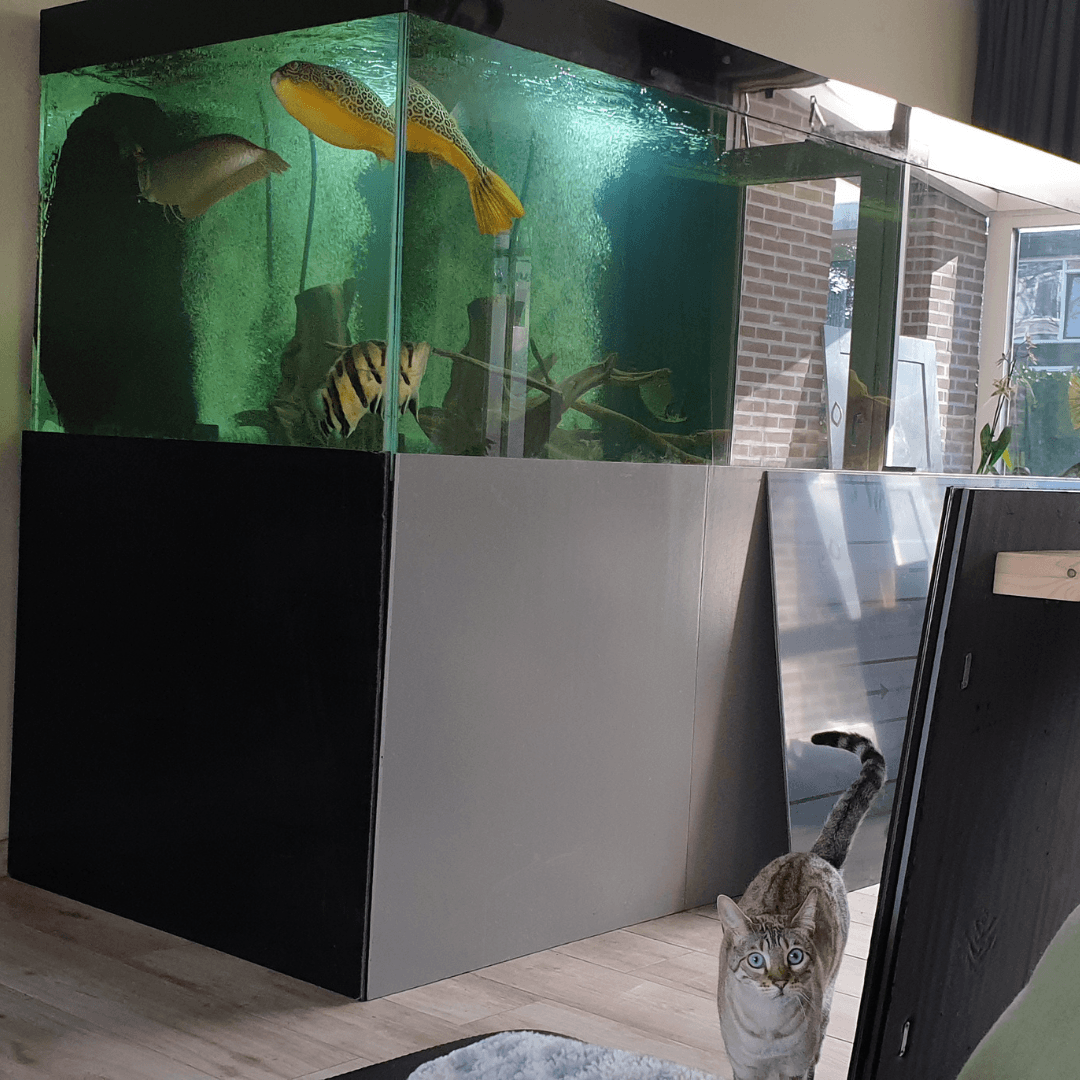 Aquarium ombouw
