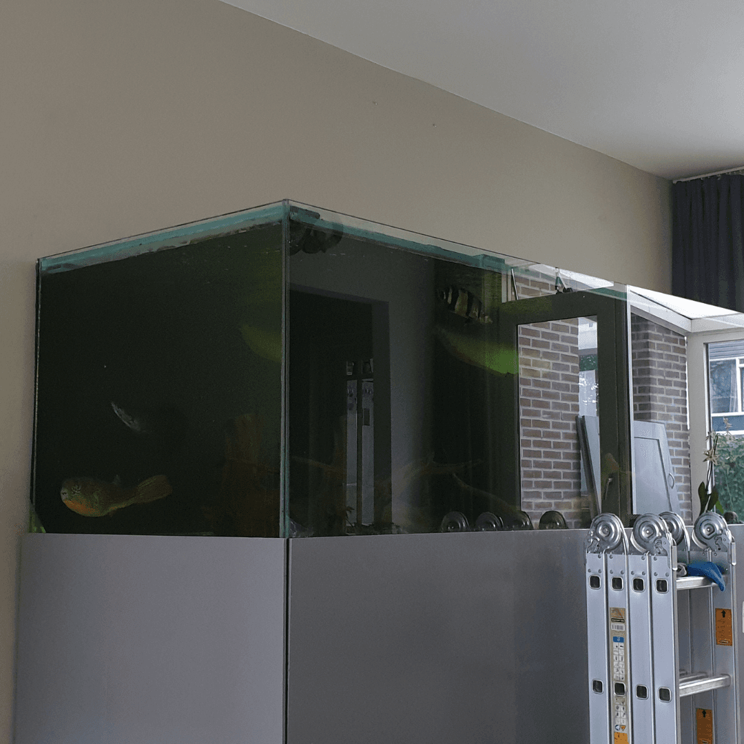 Aquarium ombouw geen licht