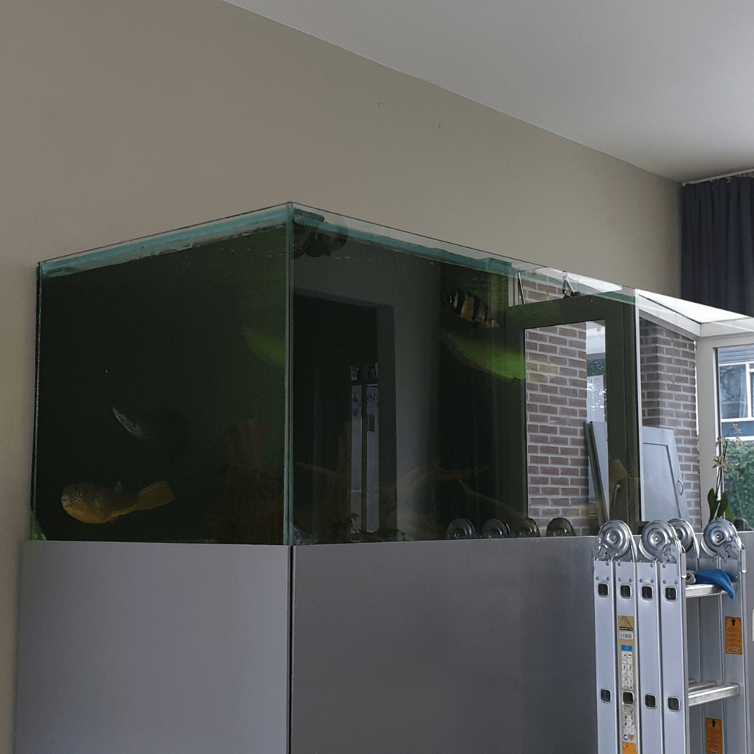Aquarium ombouw geen licht