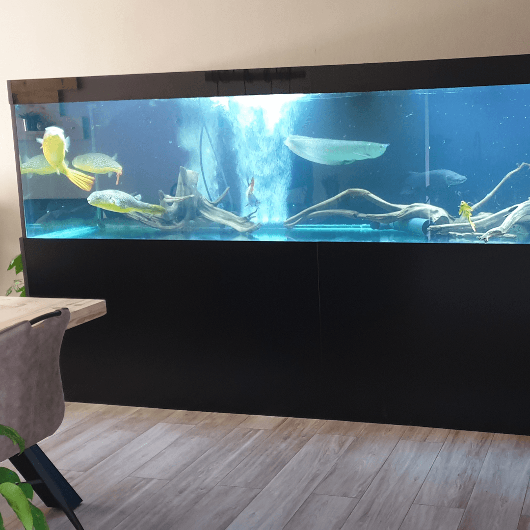 Aquarium ombouw voorkant
