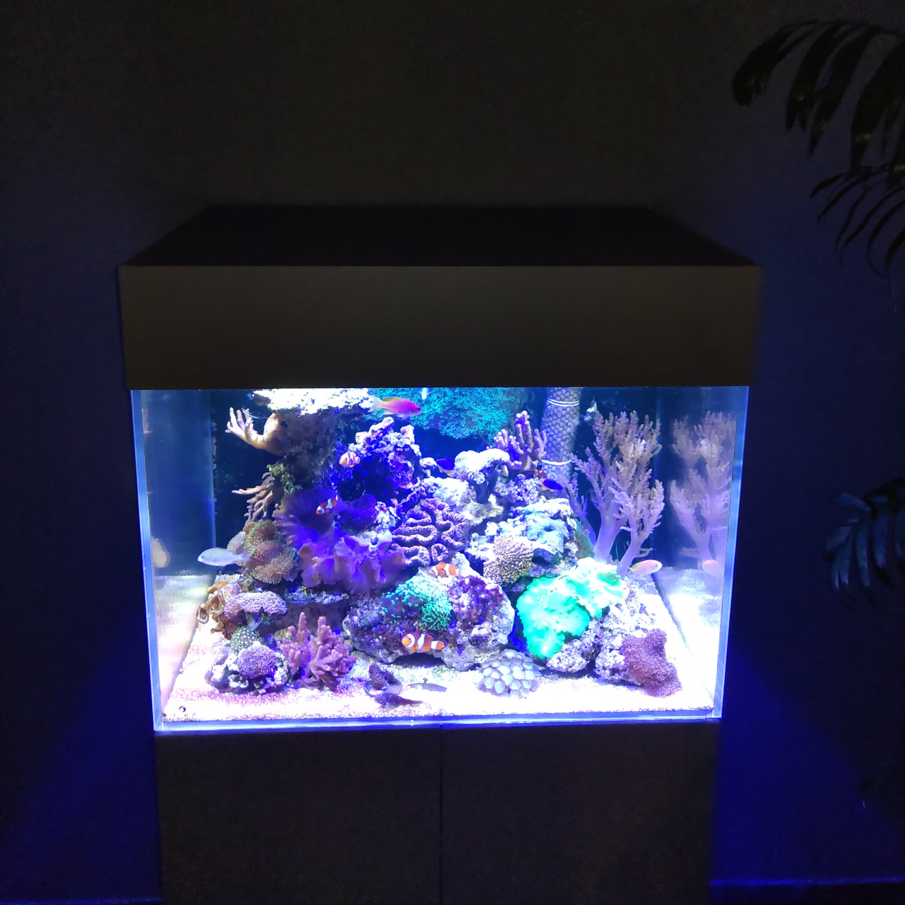 Aquarium omranding met geschuimd PVC01