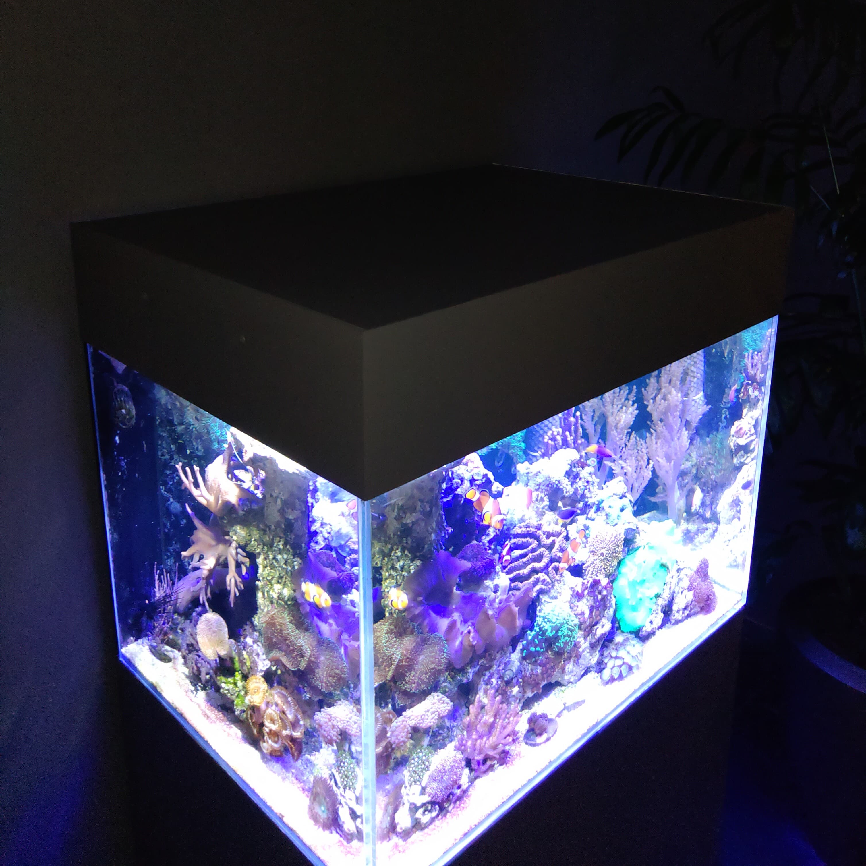 Aquarium omranding met geschuimd PVC02