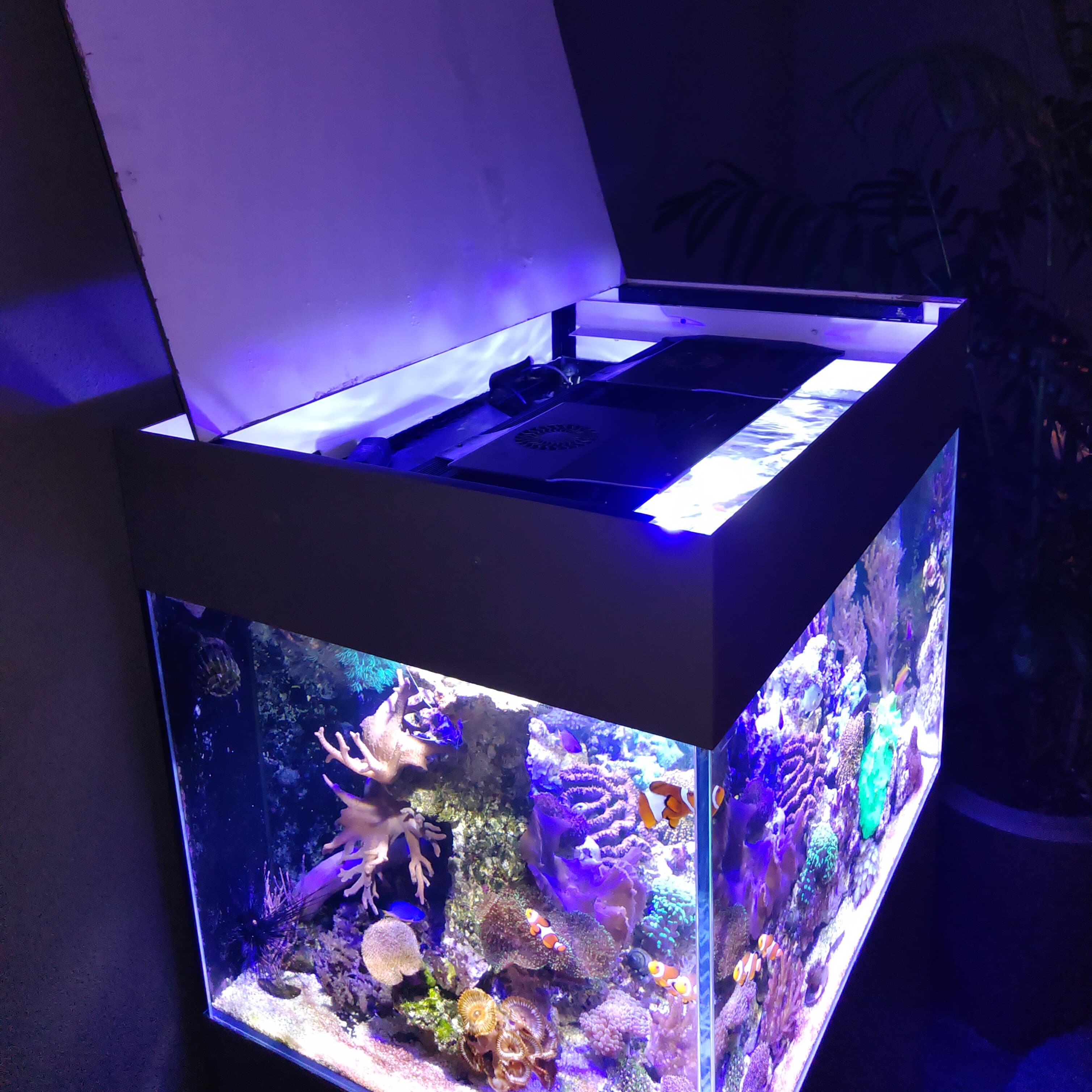 Aquarium omranding met geschuimd PVC03