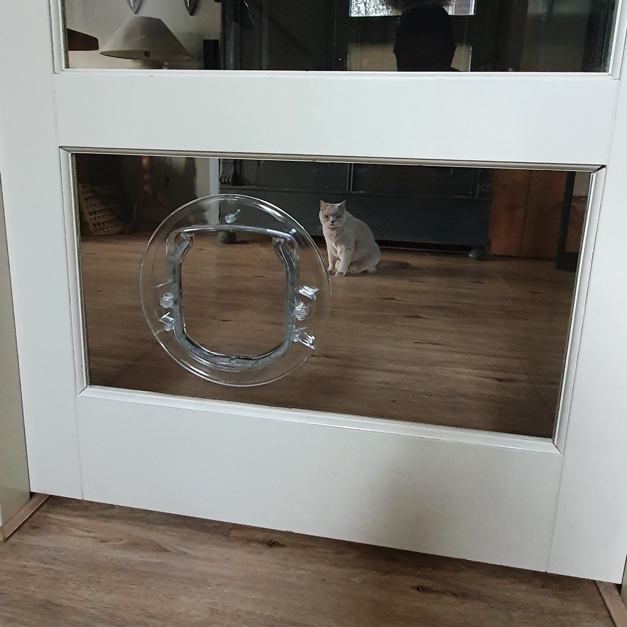 Kattenluikje in binnendeur