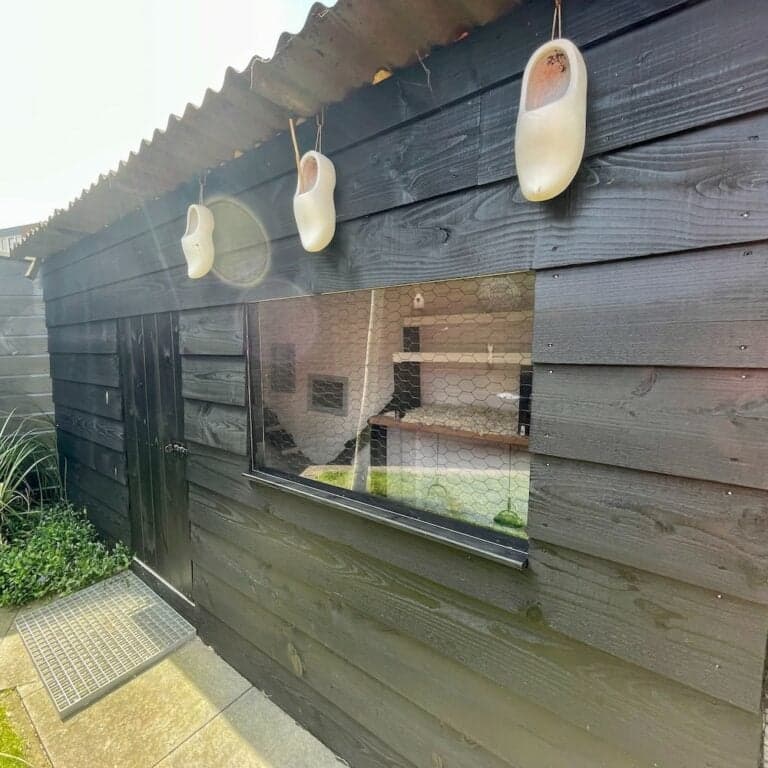 Kippenhok-met-uitneembaar-raam-van-kunststof-1-768x768