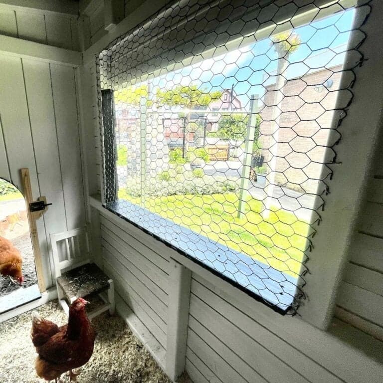Kippenhok-met-uitneembaar-raam-van-kunststof-2-768x768