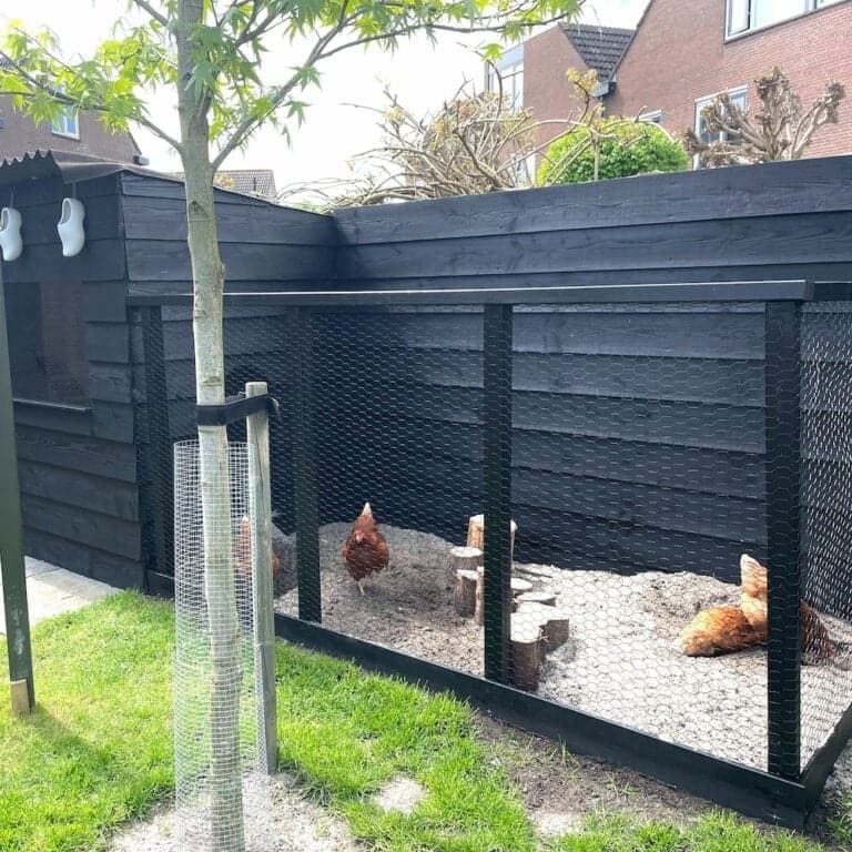Kippenhok-met-uitneembaar-raam-van-kunststof-3jpeg-768x768
