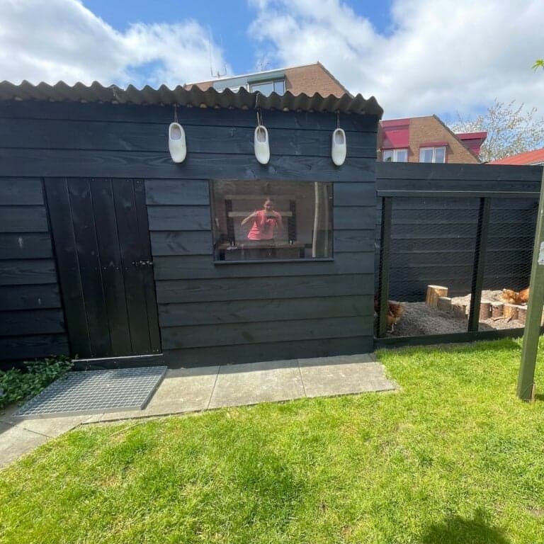 Kippenhok-met-uitneembaar-raam-van-kunststof-4-768x768