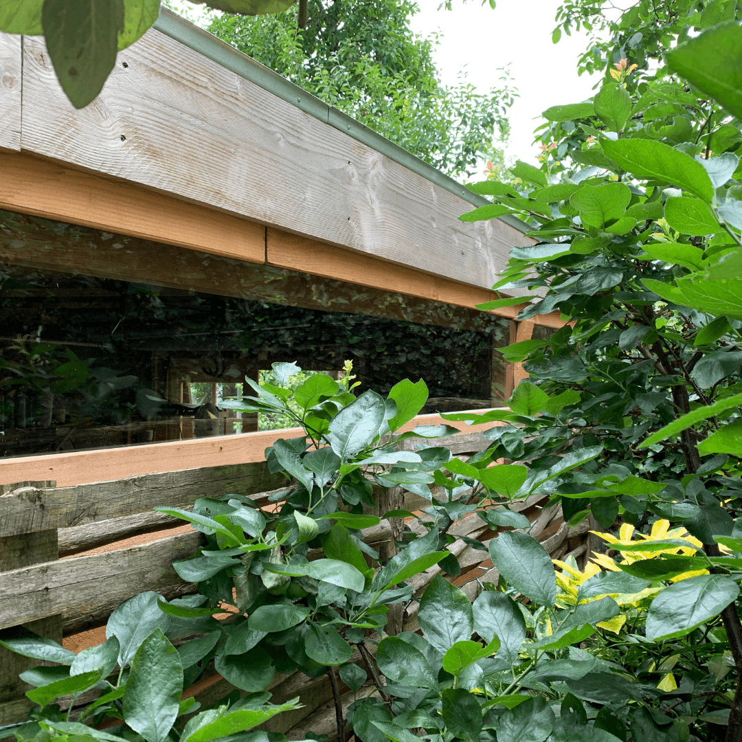 Lichtstraat carport plexiglas