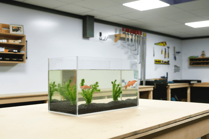 Plexiglas aquarium