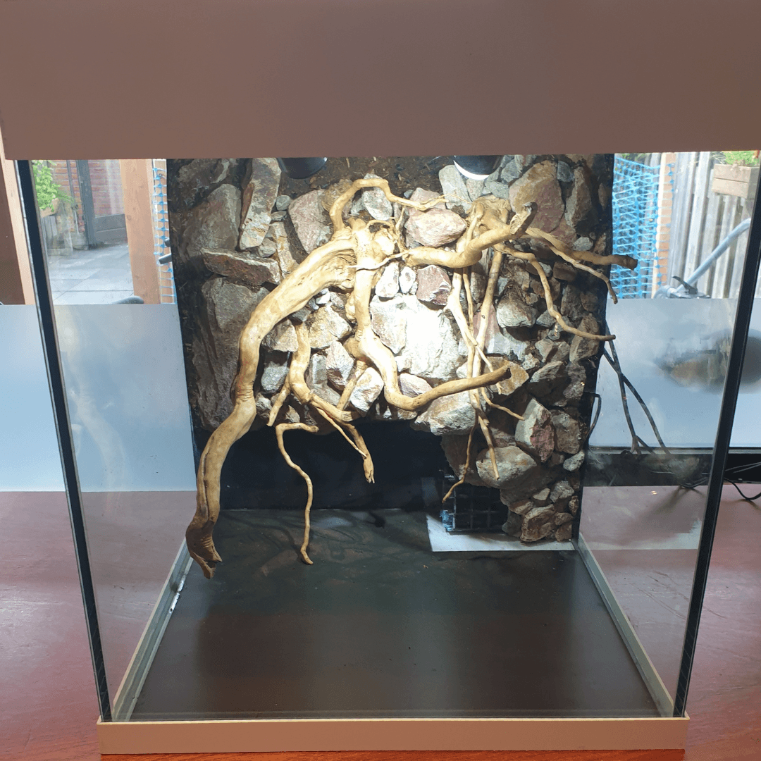 Terrarium deksel en randafwerking