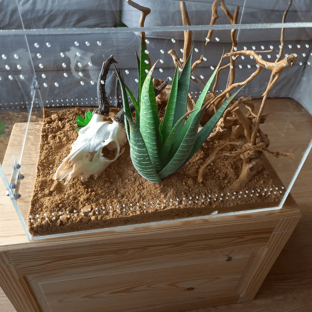 Vogelspinnenverblijf van plexiglas eindresultaat