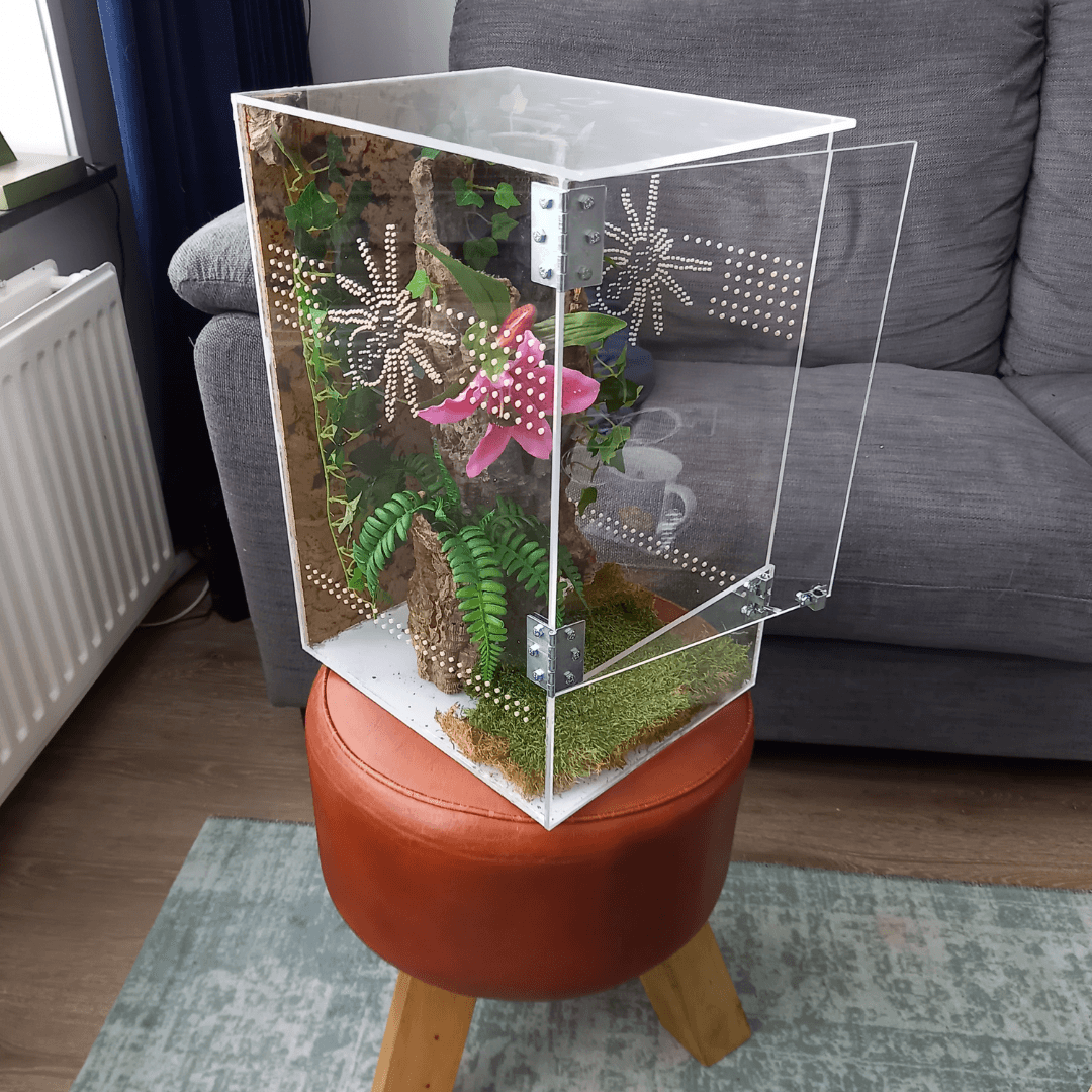 Vogelspinnenverblijf van plexiglas