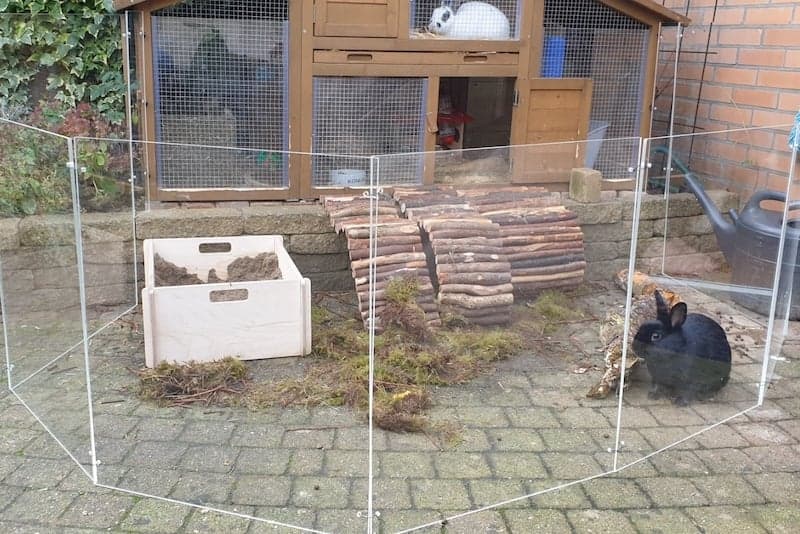 Windscherm konijnenhok met konijnen