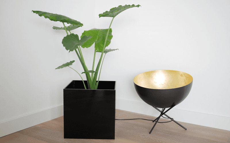 Plexiglas plantenbak