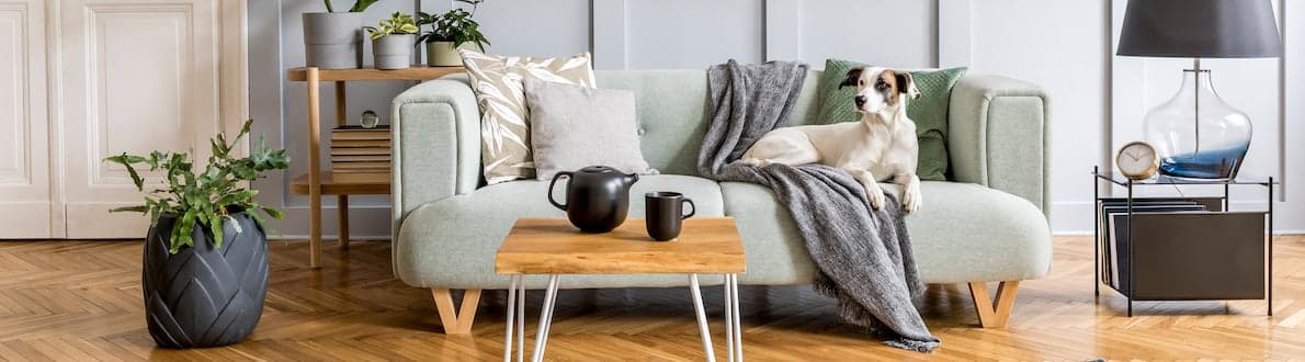 woondecoratie ideeen banner