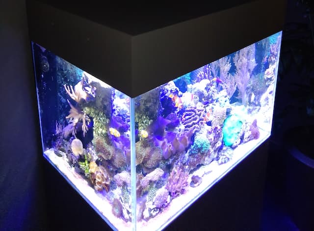 Aquarium omranding met geschuimd PVC02