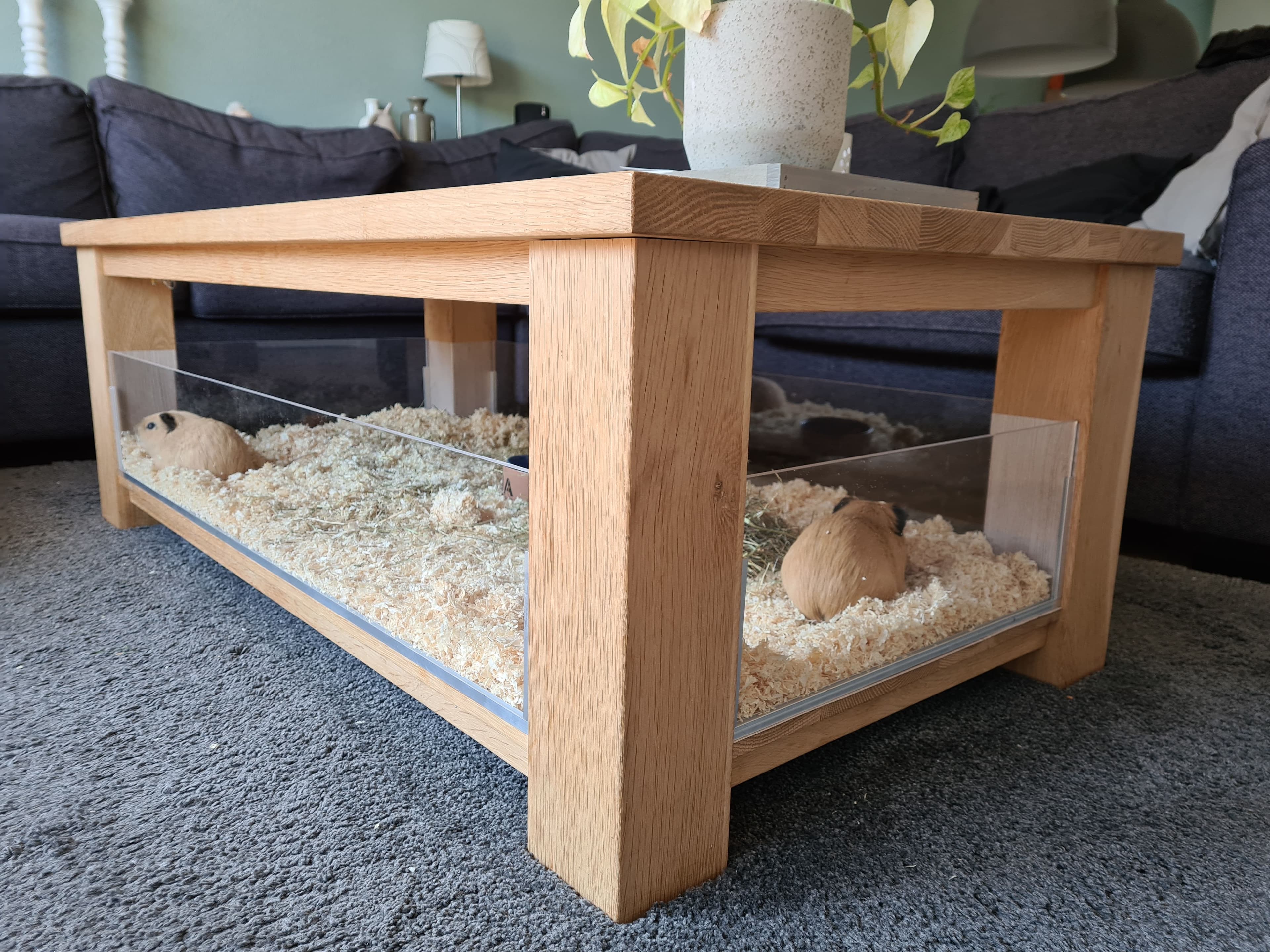 Caviakooi plexiglas salontafel