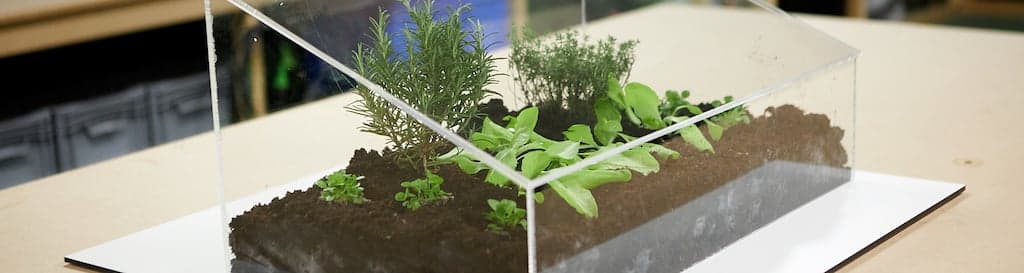 DIY Kweekbak maken in 5 stappen