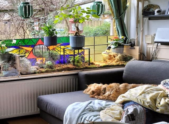 Terrarium van Plexiglas