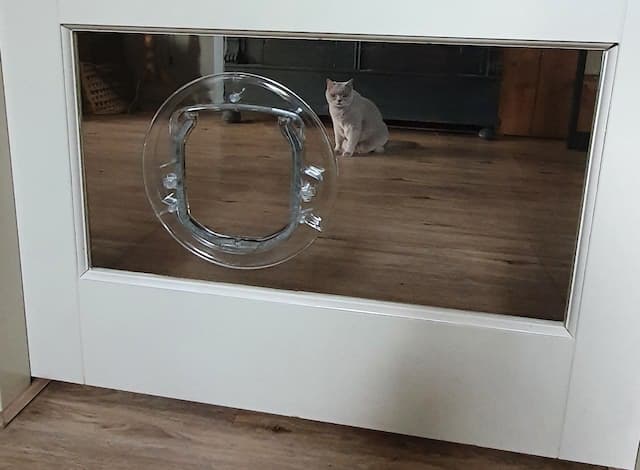 Kattenluikje in binnendeur