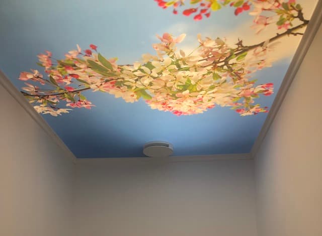 Plafond in toilet opknappen02 kopie
