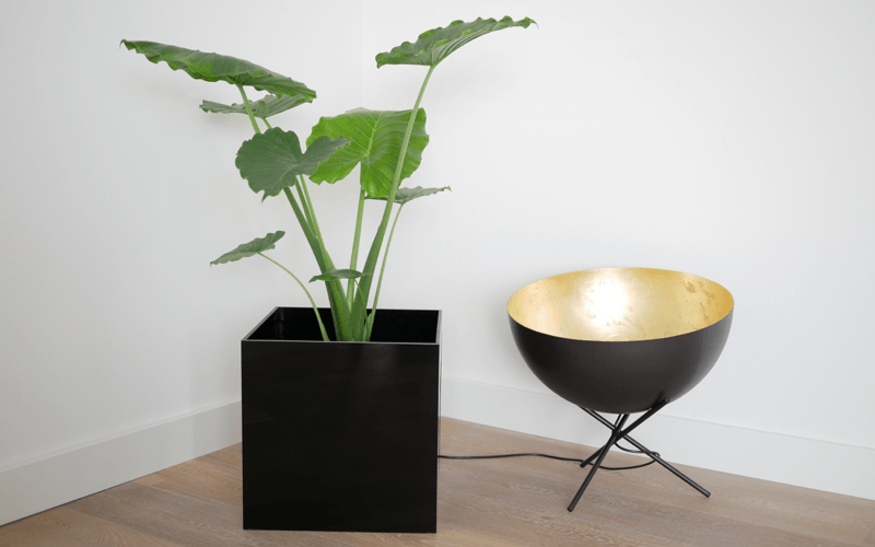 Plexiglas plantenbak