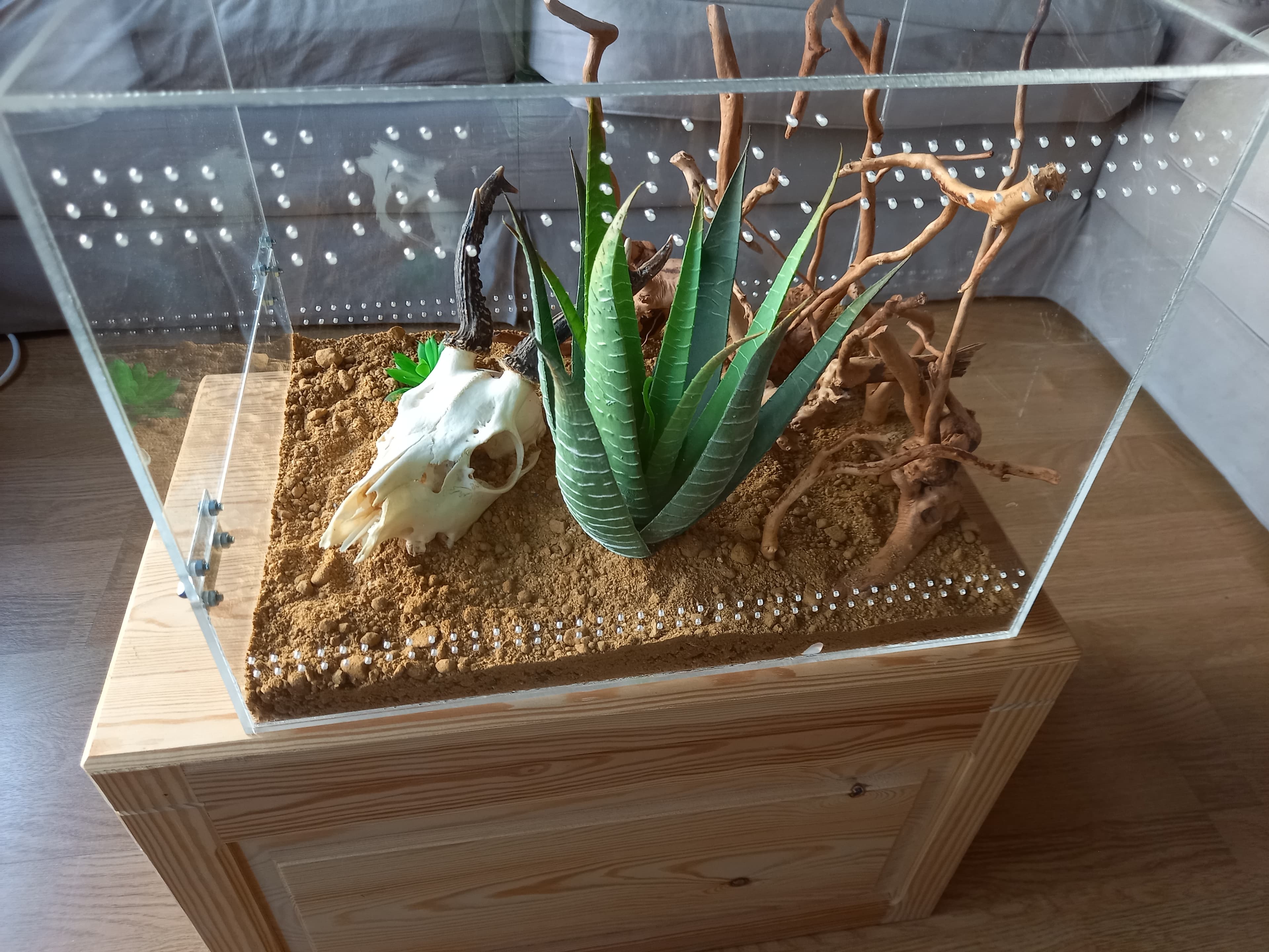 Tarantua cage7
