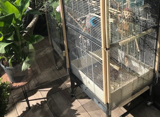 Windscherm voor parkieten kooi03