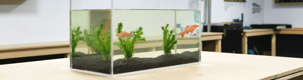 Zelf een aquarium maken van plexiglas