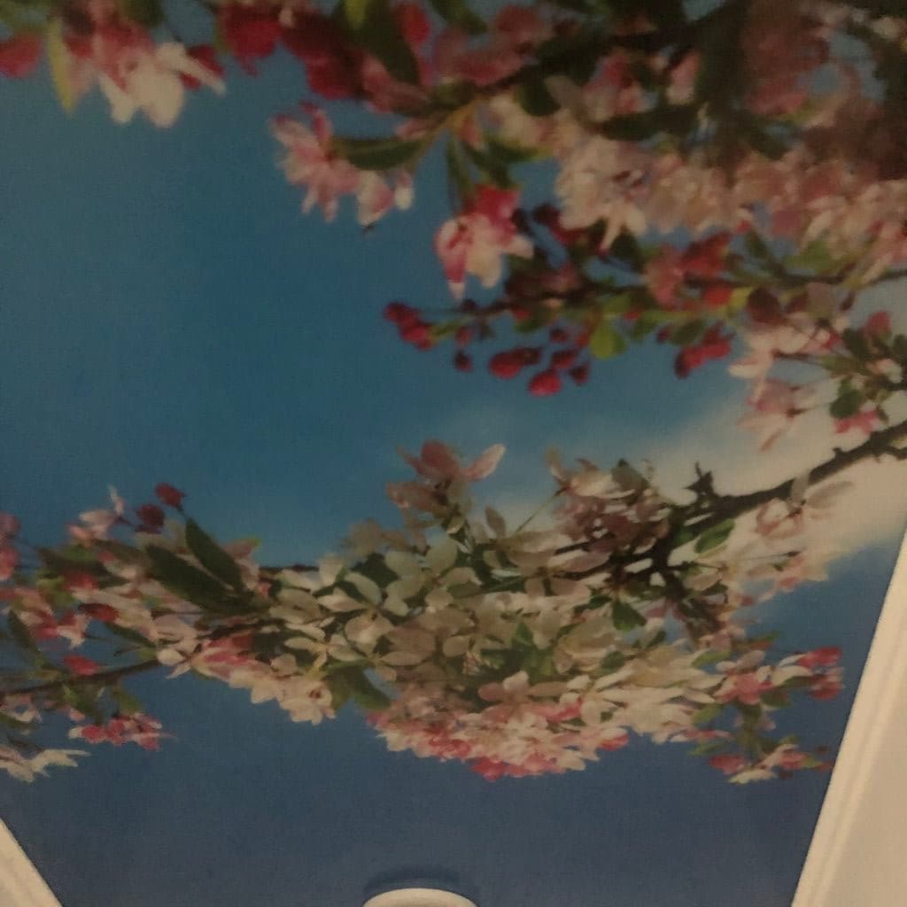 plafond-in-toilet-opknappen01