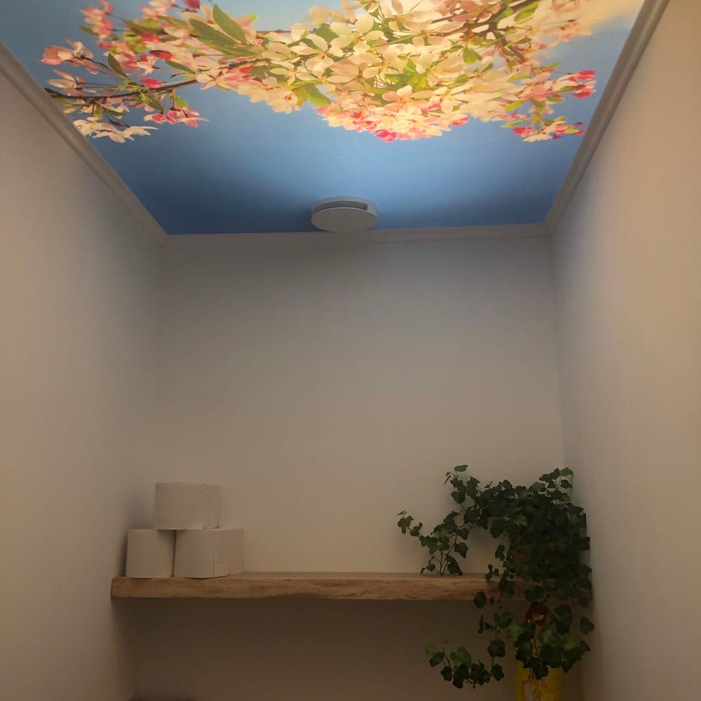 plafond-in-toilet-opknappen02