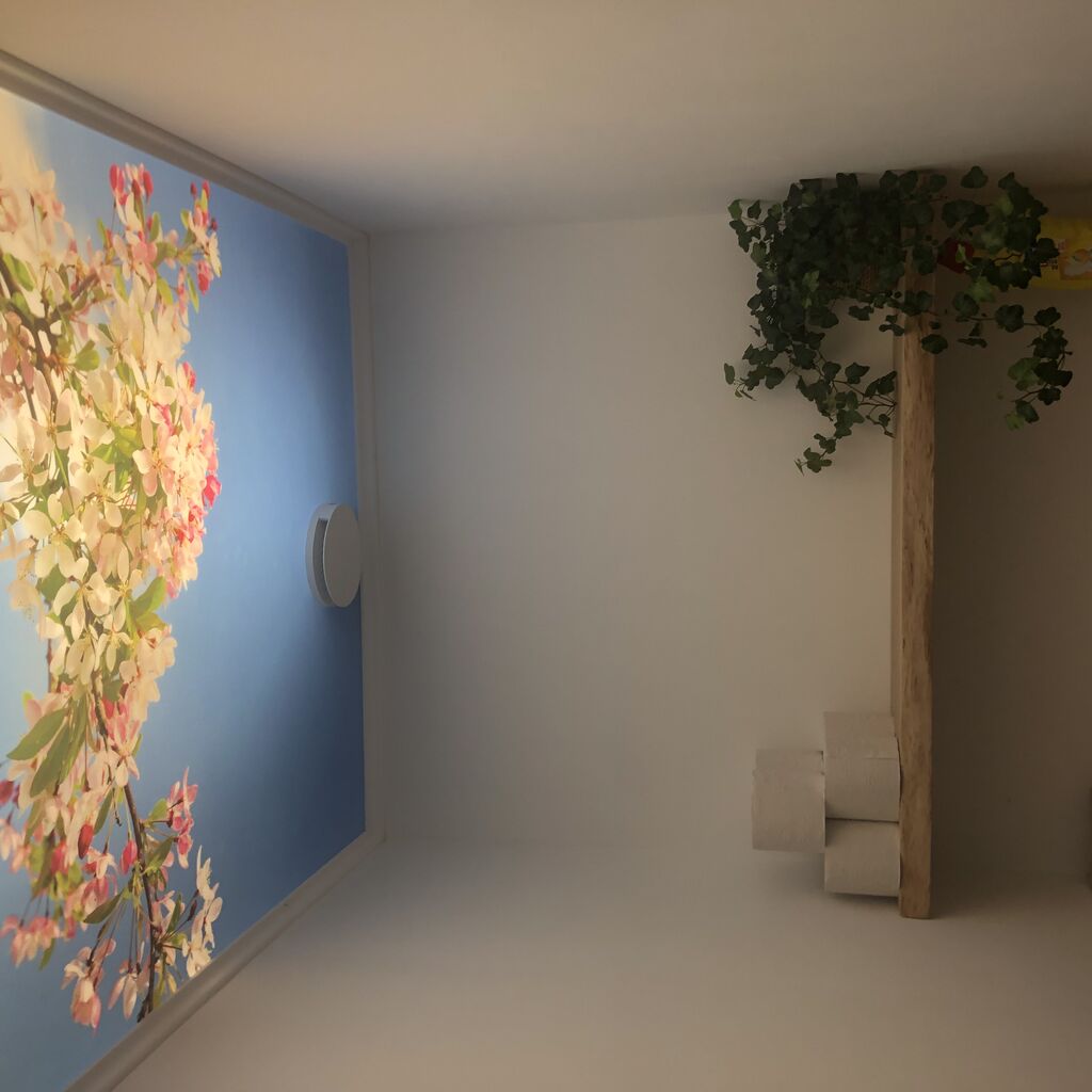 plafond-in-toilet-opknappen02