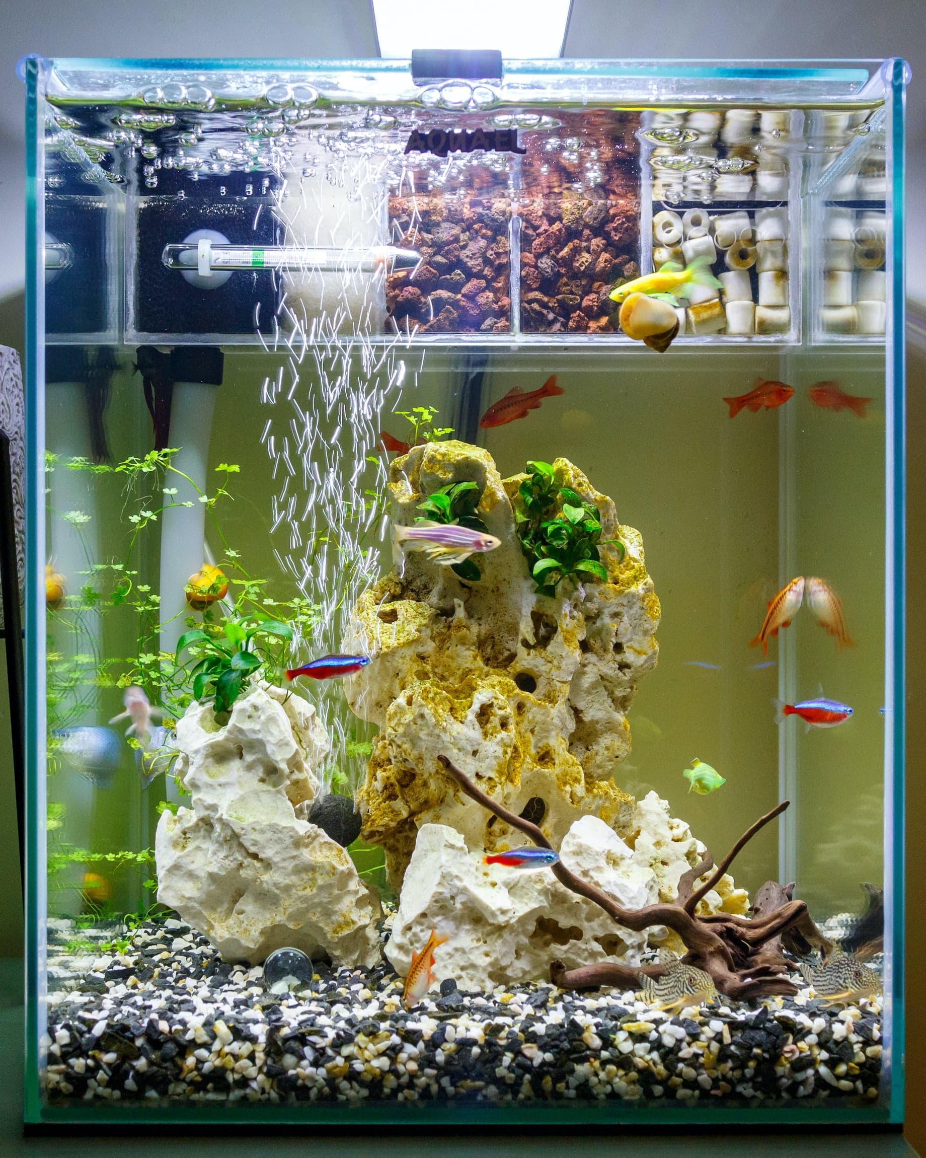 Aquarium op maat met kunststof plexiglas