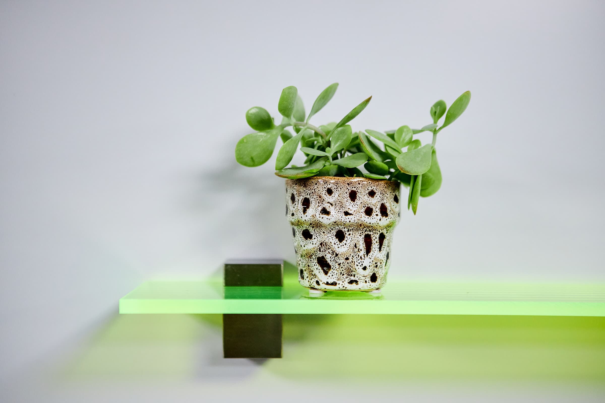 woondecoratie ideeën fotoplank maken