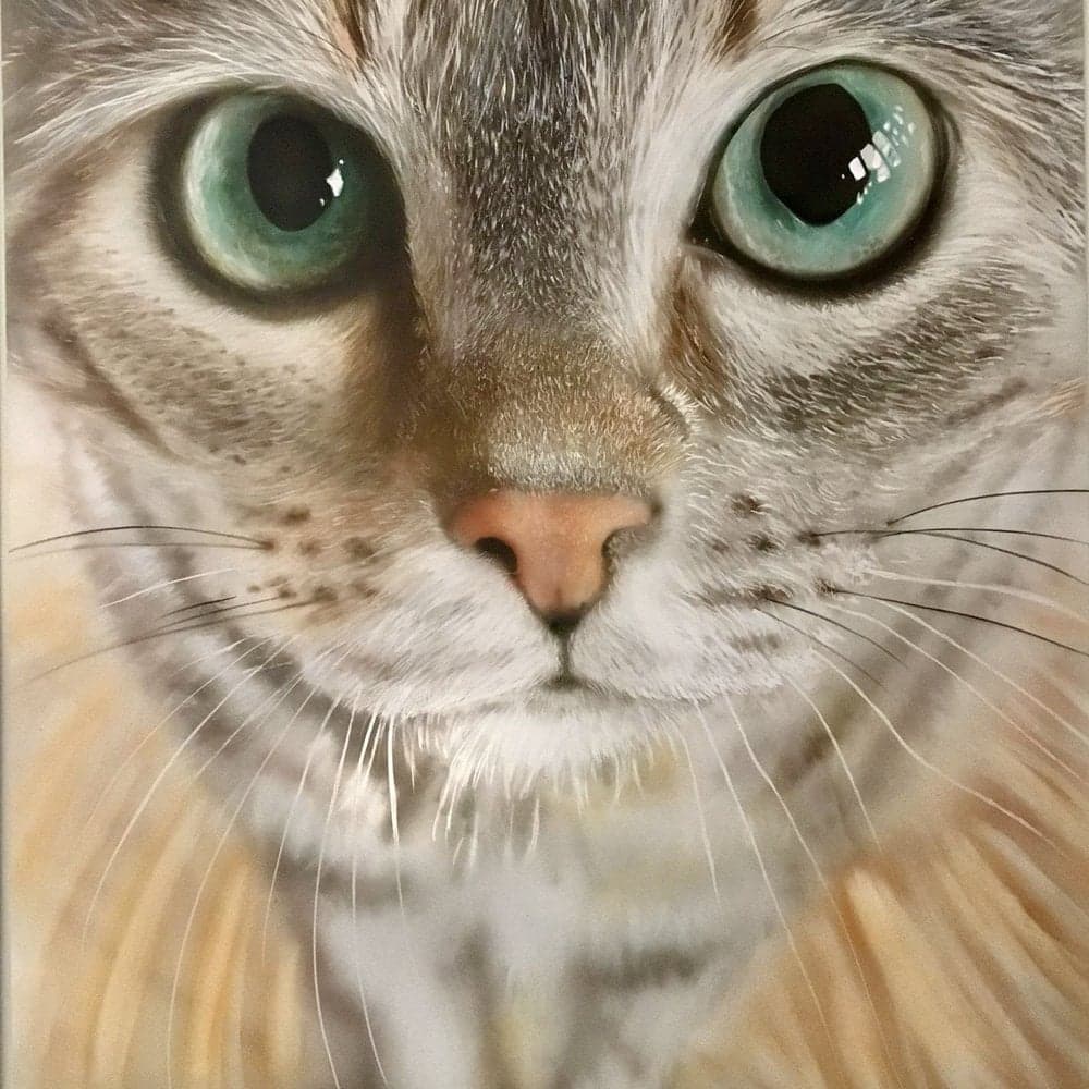 xu70UHPO0hZaaOYLZX8AQmggw3FBhLl2MJvNrAaUlds