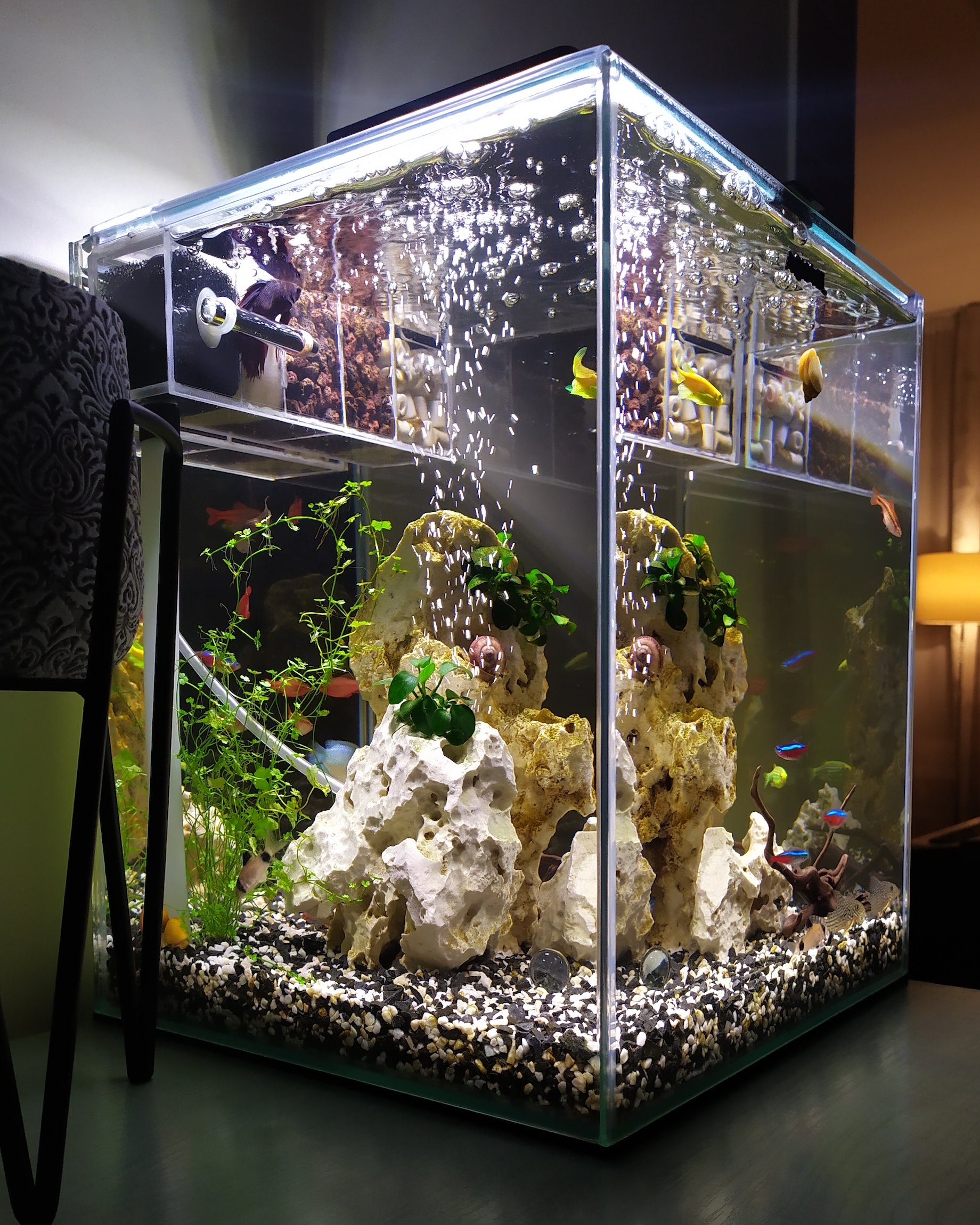 Aquarium op maat met kunststof plexiglas