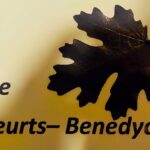 Ga naar afbeelding 1