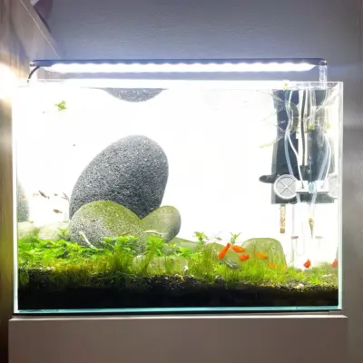 Afbeelding voor keuze nummer 3