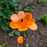 Ga naar afbeelding 3