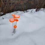 Ga naar afbeelding 4